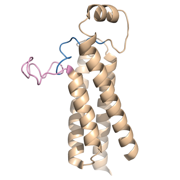 Image:VKOR Open Conformation.png
