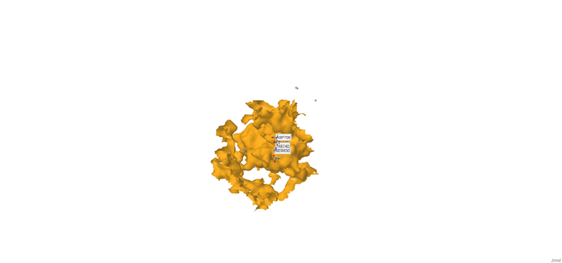 Image:Animation1.png
