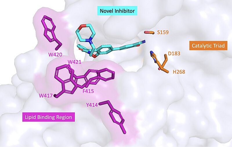 Image:MANInhibitor.jpg