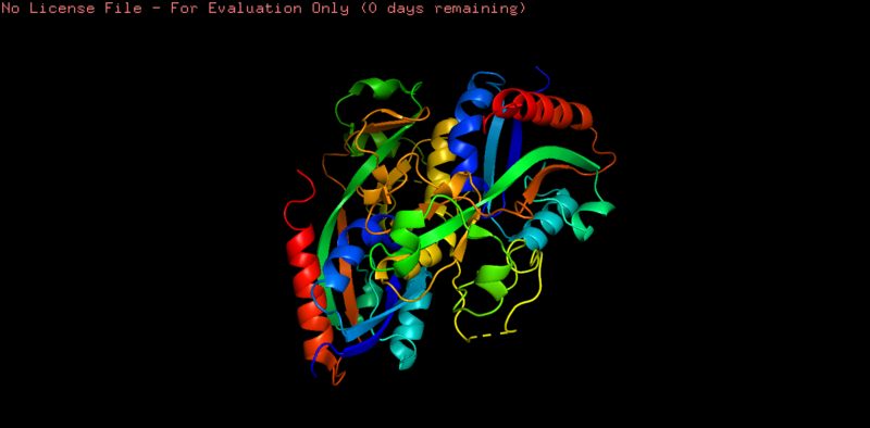 Image:OxyR PyMol Final.png