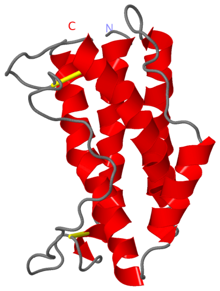 Image:1il6.png