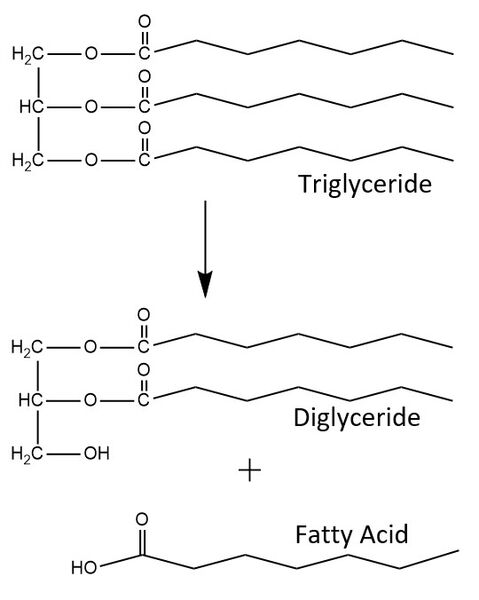 Image:BasicMech2.jpg