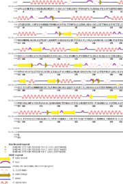Figure 2. Sequence of Histidine Decarboxylase with its corresponding secondary stuctures 