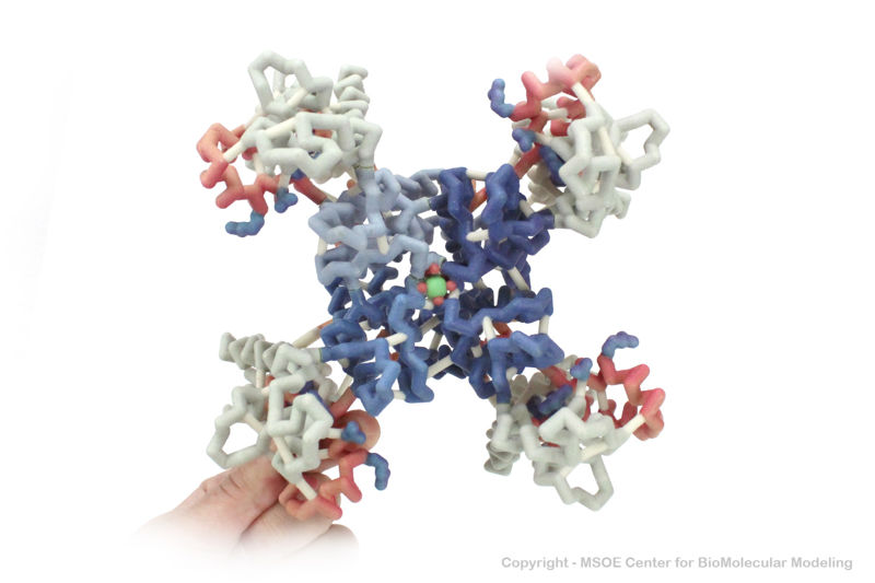 Image:PotassiumChannel 1 centerForBiomolecularModeling.jpg