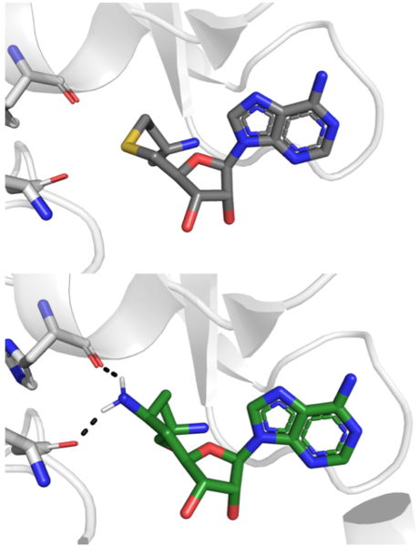 Image:Sinefunginfigure.1.png