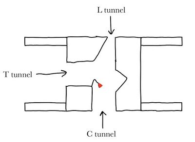 Figure 4: Transmembrane, cytosolic, and lumen tunnels drawn with catalytic His460 (shown as red object) at the convergence of three tunnels
