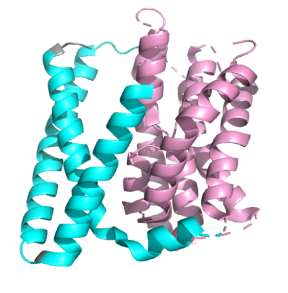 Image:NTCP PROTEO.png