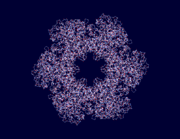 Figure 1: A clear view of glutamine synthetases "passive site".