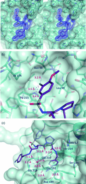 Image:Thrombin1.gif