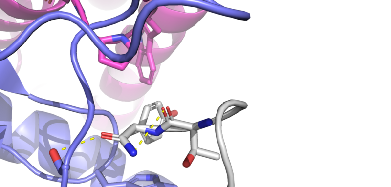 Image:Modified C terminus.png