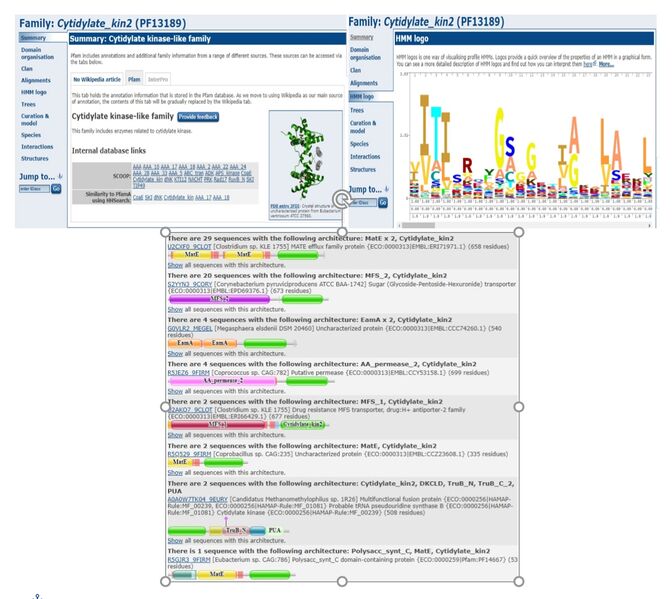 Image:PFamResults.jpg