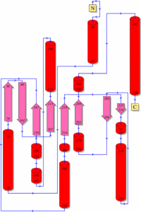 Figure 3. Topology of DromeQC