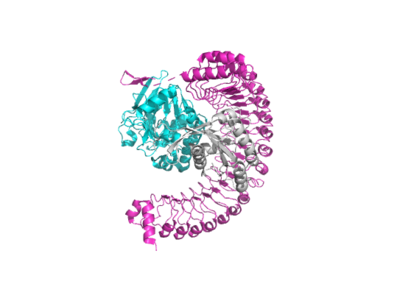 Figure 1. The coolest image of this protein EVAH!!!