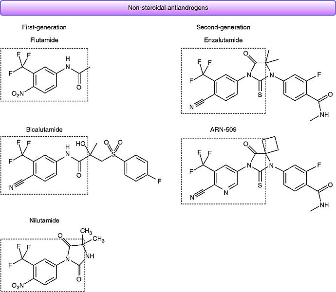 Image:Non-steroideal anti-androgens.jpeg