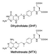 DHFR substrates