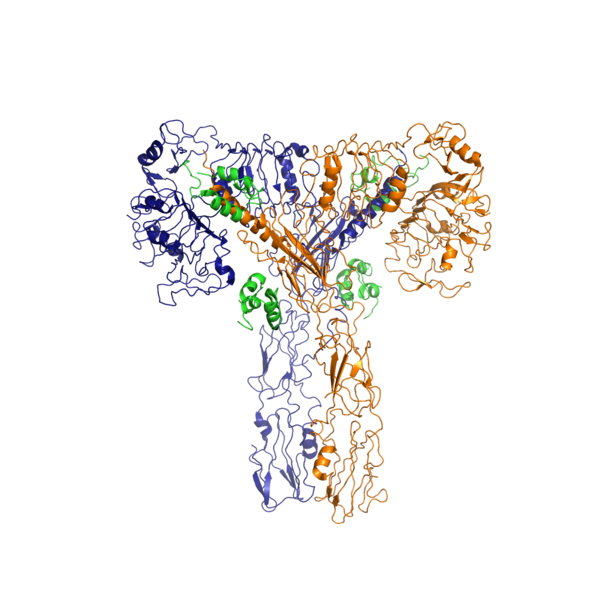 Image:Insulin Receptor T.png