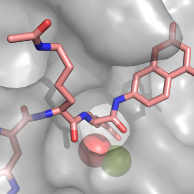 Figure 1. The coolest image of this protein EVAH!!!