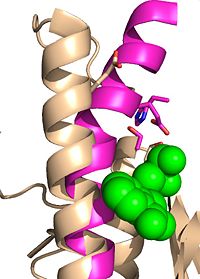 Figure 5: Pink: native enzyme; tan: ebselen-modified Ag85C; green: ebselen