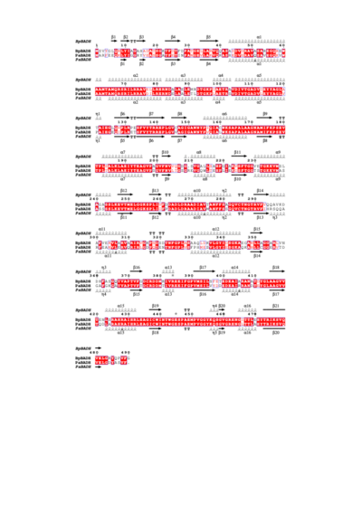 Figure 2 Structural and primary sequence alignment of BpBADH and PaBADH. The secondary structure elements shown are alpha helices (α), 310-helices (η), beta strands (β), and beta turns (TT). Identical residues are shown in white on a red background and conserved residues in red.
