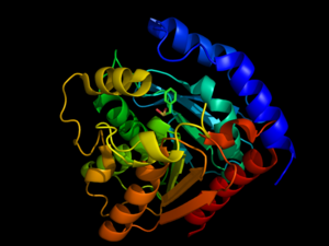 Hormone-Sensitive Lipase Complex with PMSF from 3h17