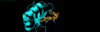 SRp20 Structure