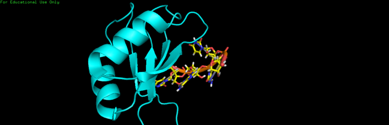 Image:SRp20.png