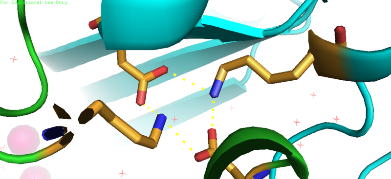 Image:Saltbridge.png