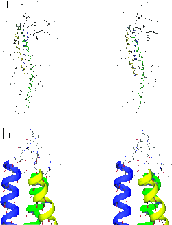 Figure 4. Tertiary structure of PAL. The three central core helices, leading to the active site, are colored blue, green, and yellow. (a) Stereoview of the PAL monomer with residue numbering. (b) Stereoview of MIO and Phe413 interactions with the three central helices, polarized with their N termini directed toward the active site. Hydrogen bonds are indicated by dashed lines. 