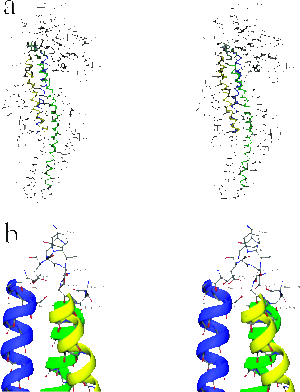Figure 4. Tertiary structure of PAL. The three central core helices, leading to the active site, are colored blue, green, and yellow. (a) Stereoview of the PAL monomer with residue numbering. (b) Stereoview of MIO and Phe413 interactions with the three central helices, polarized with their N termini directed toward the active site. Hydrogen bonds are indicated by dashed lines. 