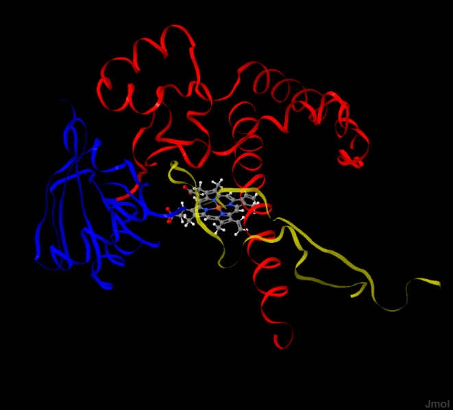 Image:1tqnpt2.pngj