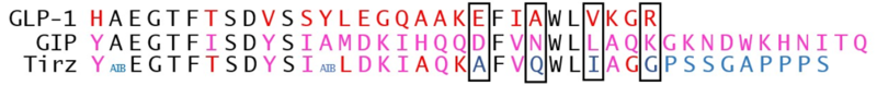 Image:GIPGLPTirz.png