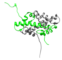 H2A/H2B dimer (H2A is represented in green while H2B is represented in gray), 1aoi