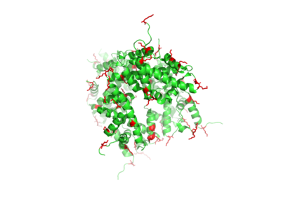 Figure 1. Histone Core