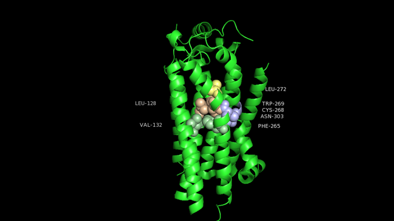 Image:Cluster 3.png