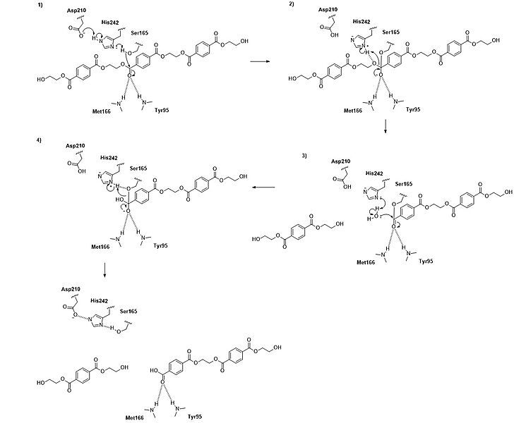 Image:FinalMechanism2.jpg