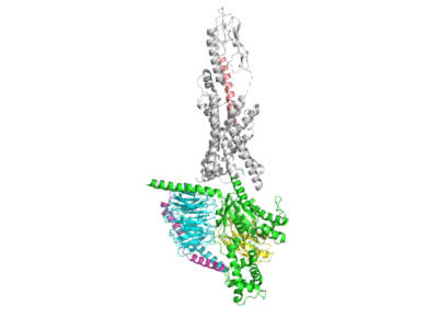 Figure 1: GLPR from pymol