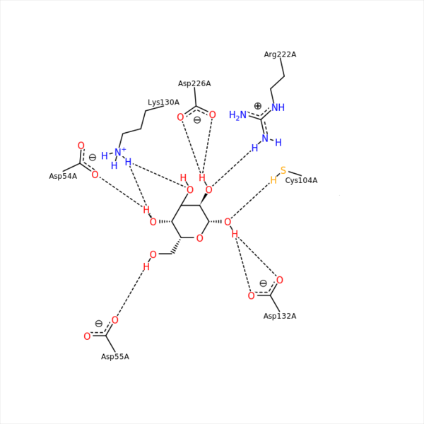 Image:HBond Pic2.png