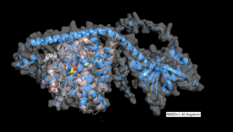 Image:PDEB1 Afold align.png