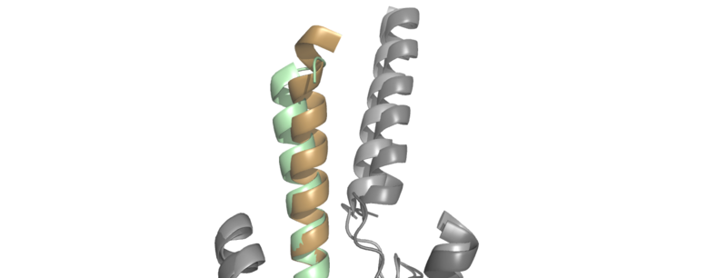 Image:ProtoOverlay.png