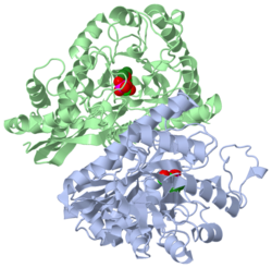 Crystal Structure of Enolase, 1one