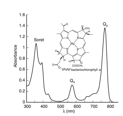 Absorption spectra of bacteriochlorophyll a. image from R. E. Molecular Mechanisms of Photosynthesis