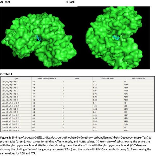 Image:Figure 5 PyRx for Proteopedia Page.JPG