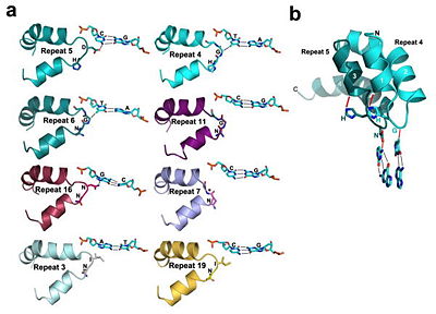 Fig.4