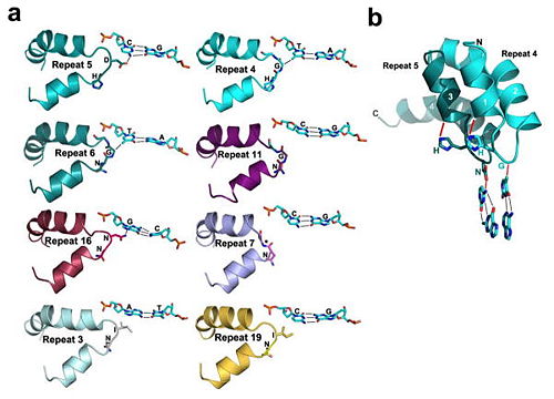 Fig.3