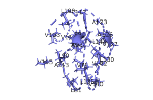 Figure 5: Residues in the hydrophobic core