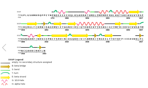 Figure 3. Secondary structure of KMT2A SET Domain with the cofactor product S-Adenosylhomocysteine.