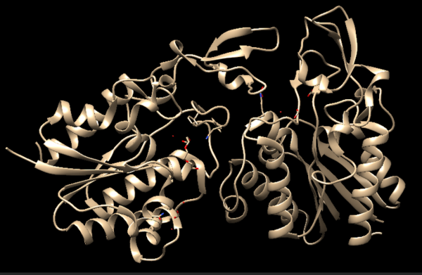 Chimera-generated representation of the A chain of 4Q7Q.
