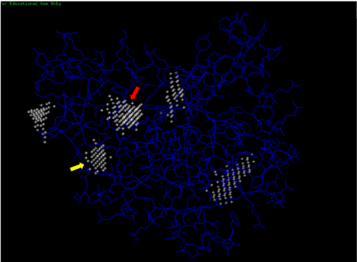 Predicted binding pockets for 3HDT represented by the white stippling.