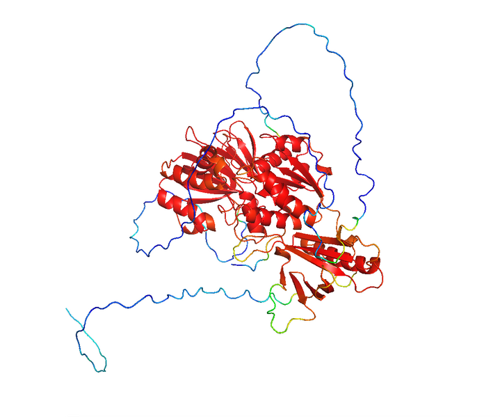 Image:SphK2 B-factor.png