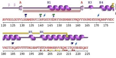 Structure of 3HAF domain